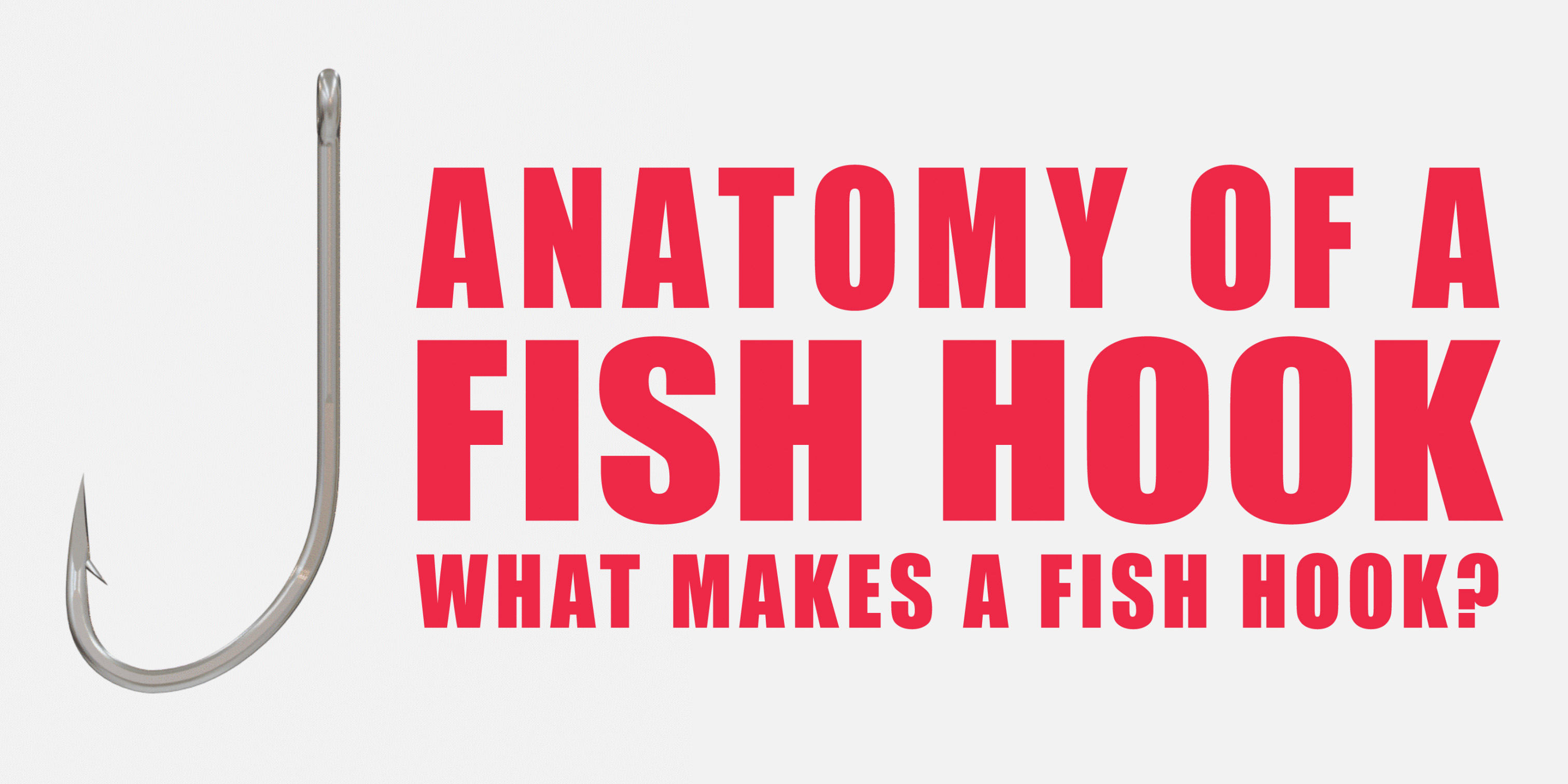 Anatomy of a Fish Hook What Makes a Fish Hook?